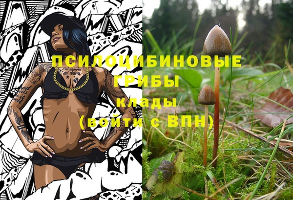 герыч Алзамай