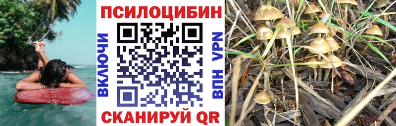 darknet какой сайт  Усолье-Сибирское  Псилоцибиновые грибы прущие грибы 